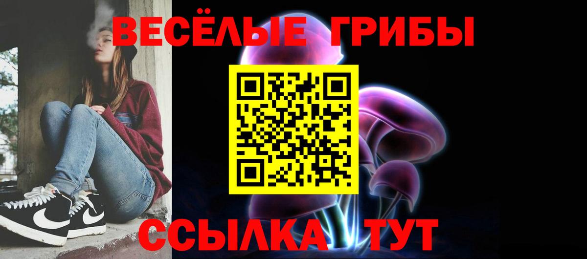 цены наркотик  Галлюциногенные грибы Magic Shrooms  Вход с VPN  Мытищи 